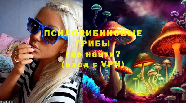 mdpv Богданович