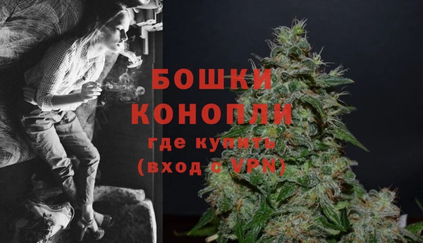ГАЛЛЮЦИНОГЕННЫЕ ГРИБЫ Переславль-Залесский
