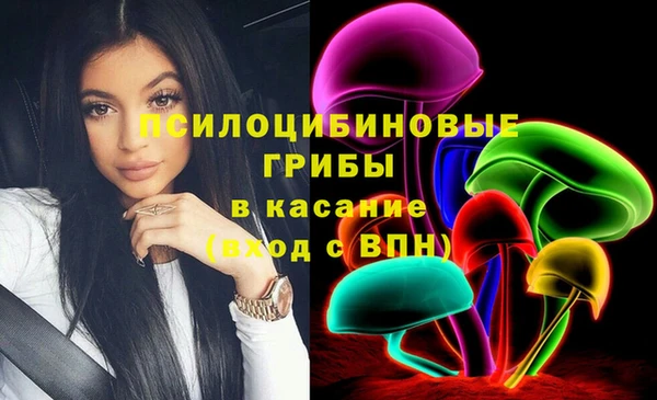 mdpv Богданович