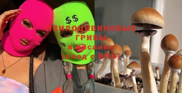 COCAINE Богородск