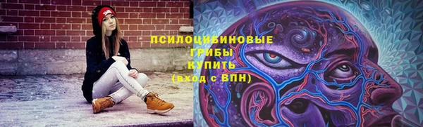 COCAINE Богородск